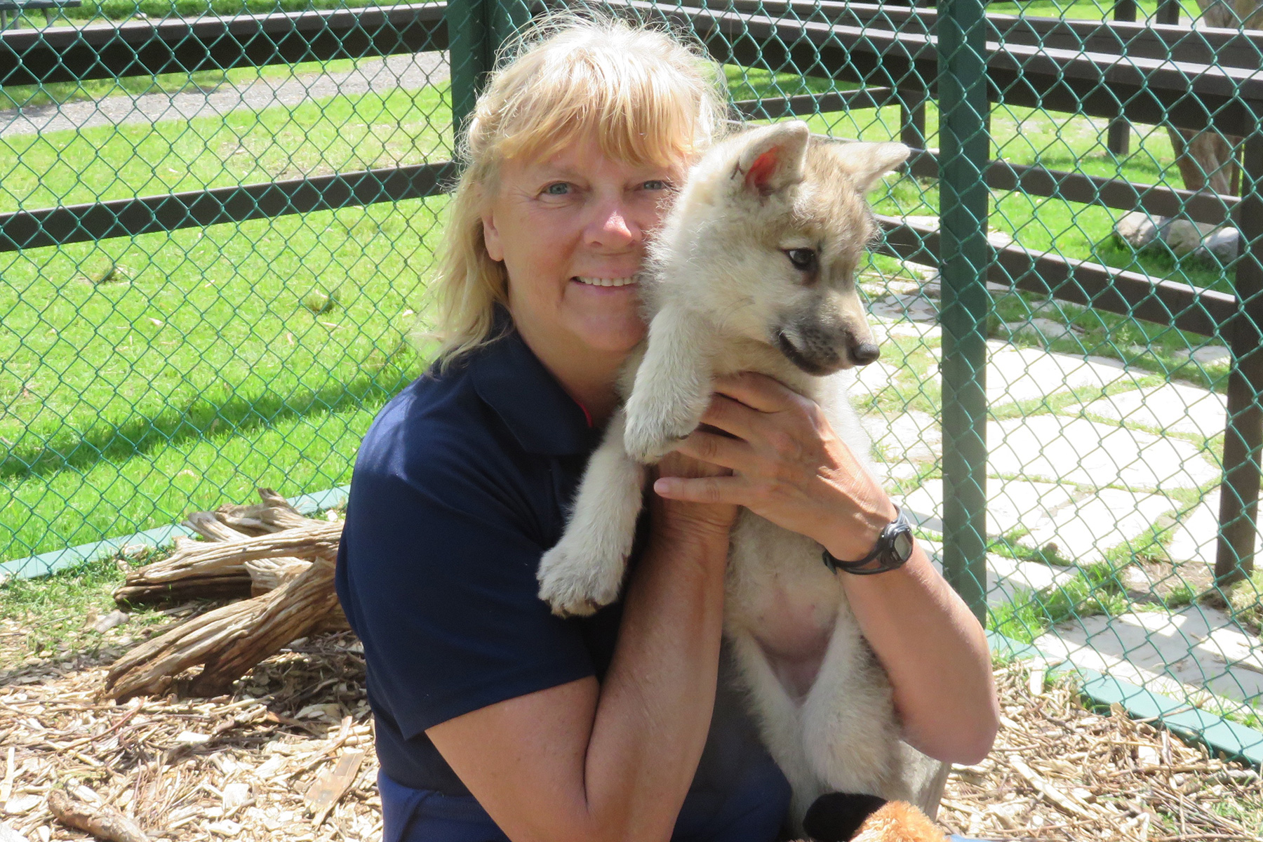 Sylvia Malgadey with a rescued wolf cub at Wildlife Haven Waterloo.