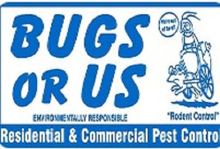 BUGSORUS LOGO