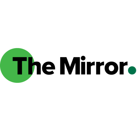 The Mirror Logo