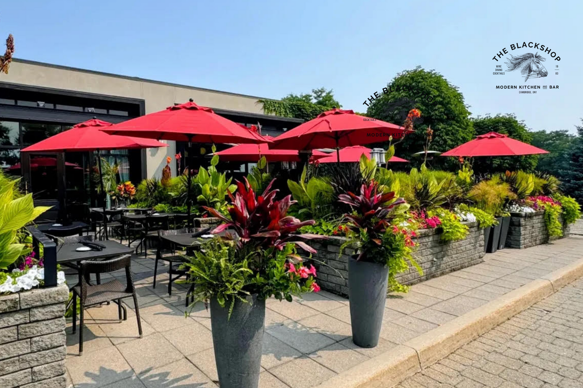 This coloured image is showcasing a restaurant/bar. It features a patio view with umbrellas.