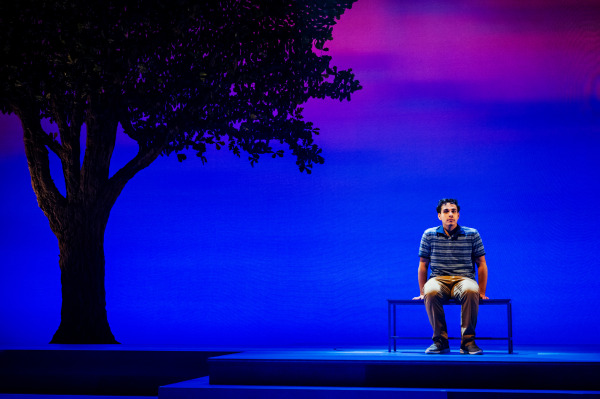 A solitary scene from Dear Evan Hansen shows a young man sitting alone on a bench beneath a large silhouetted tree. The stage glows in gradients of blue and purple, creating a quiet, reflective atmosphere that emphasizes isolation.