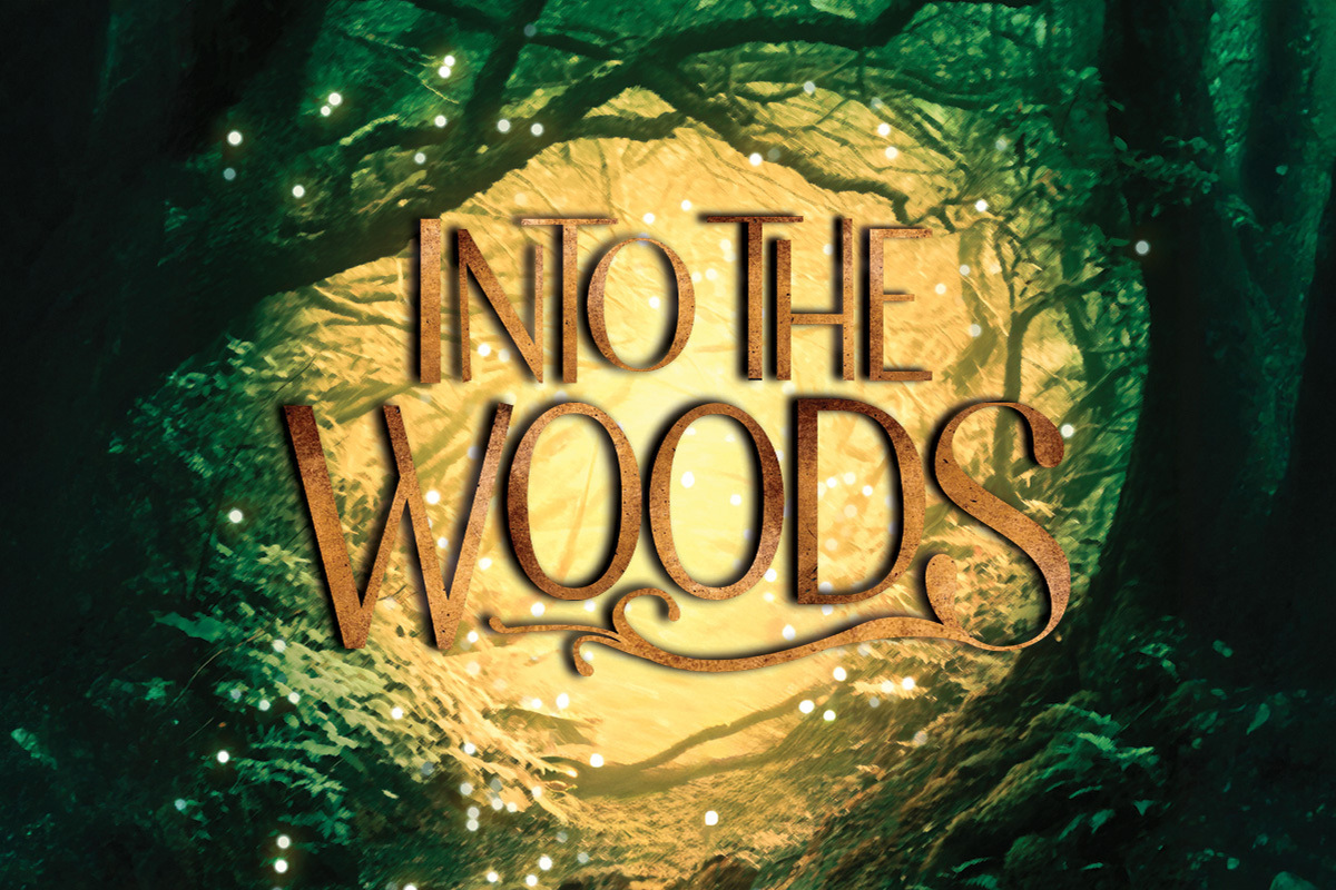 The title Into The Woods appears in bold silver letters against a dark blue starry background, illuminated by a soft spotlight that creates a theatrical, Broadway-inspired atmosphere.