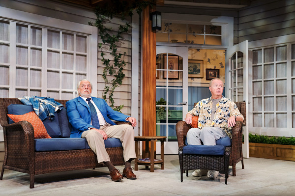 In Jonas & Barry in the Home, two performers sit apart on a furnished patio, both looking upward with concerned or startled expressions. One sits on a wicker sofa wearing a bright blue blazer, dress shirt and tie, while the other sits in a wicker armchair wearing a patterned short-sleeved shirt and grey pants. A small wooden table, blue cushions, plaid blankets, large windows, climbing greenery, and an open doorway complete the residential setting.