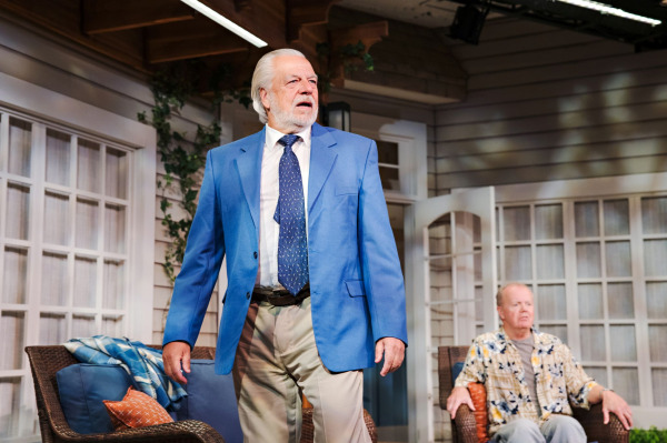 In Jonas & Barry in the Home, a performer in a bright blue blazer, white shirt, patterned tie, and beige trousers stands prominently at the front of the stage, speaking with an intense expression. Behind them, another performer sits in a wicker chair watching from the patio. White-framed windows, an open door, beige siding, greenery, and overhead wooden beams frame the scene.